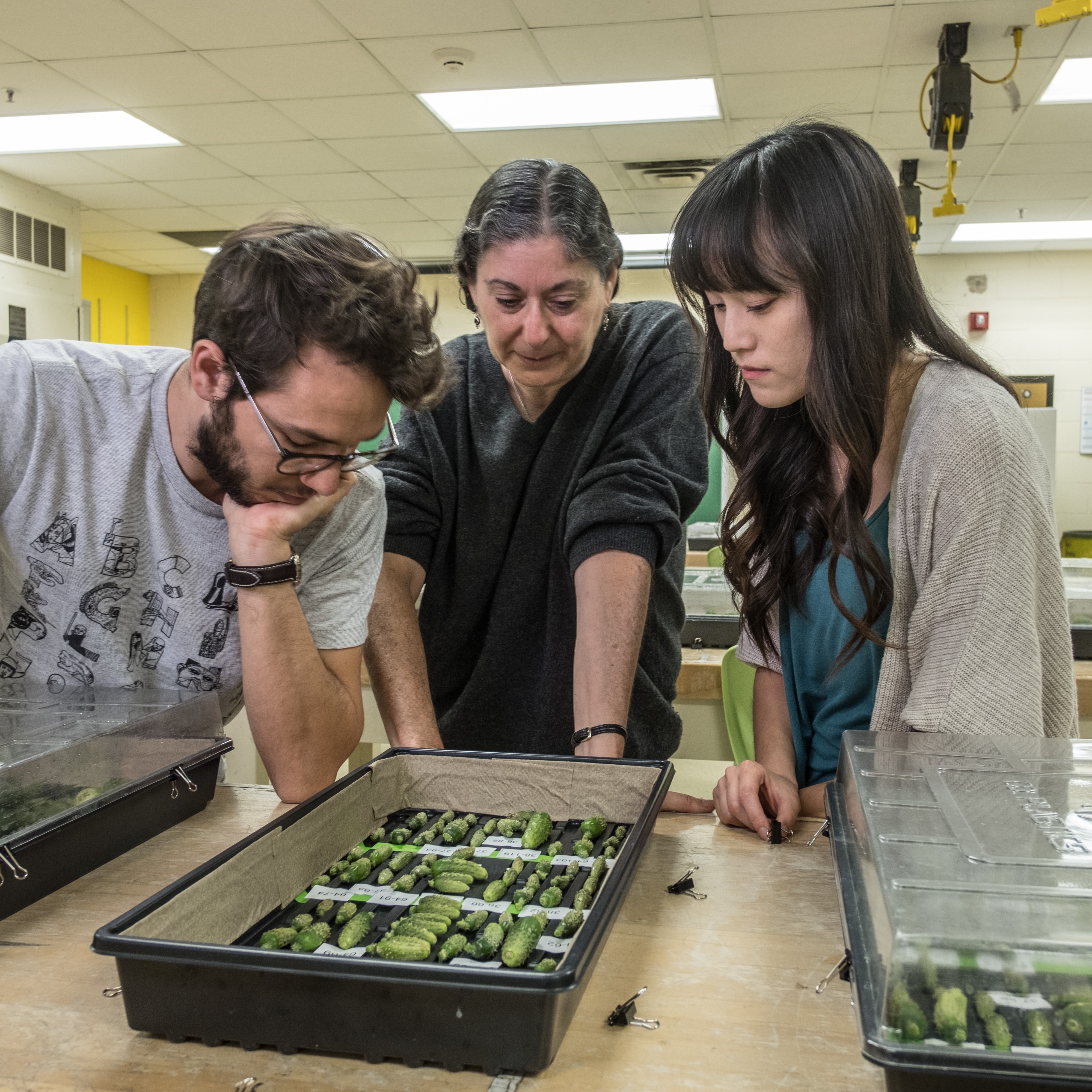 Horticulture-prof-Rebecca Grumet-Futures-square